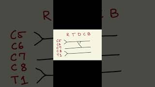 Brachial plexus part1 neetpg science mbbsstudent medicine [upl. by English]