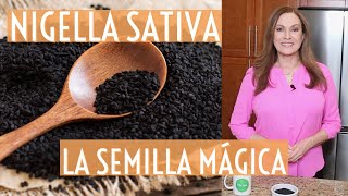 quotLa semilla que cura todo excepto la muertequot Nigella Sativa [upl. by Elacsap]