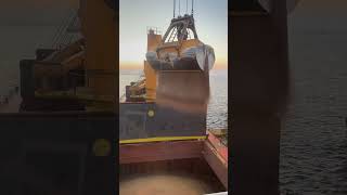 Wheat loading with grab 🦀 [upl. by Charlotte]