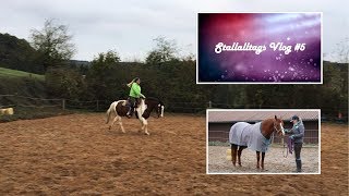 Stallalltagsvlog 5  NEUES PFERD  Alle 3 Jungs  Sandras Western Horse World [upl. by Xenos839]