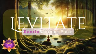 Peaceful Orchestral Music for Relaxation Meditation and Study Focus Levitate by Paul Collier [upl. by Suravart]