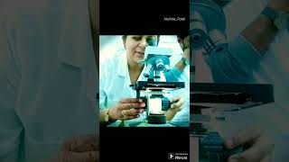 Fungus under Microscope Fungal structuresAspergillusshorts trendingviralshortsmicroscopescience [upl. by Henryetta]