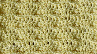 Front Post Cluster Stitch  How to Crochet [upl. by Durkee]