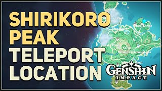 Shirikoro Peak Teleport Location Genshin Impact [upl. by Mansur]