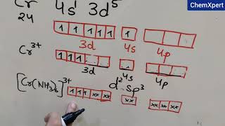 Valence Bond Theory of Coordination Compounds  Chapter 9  Class 12  Chemistry  NCERT  CBSE [upl. by Jordon258]