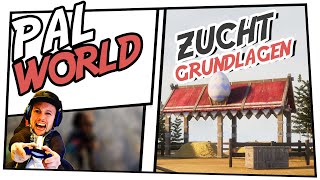 Palworld Zucht Guide Deutsch  Palworld züchten erklärt [upl. by Levram]