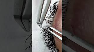 Lash Extension Effect Achieve the Doll Look lashextension [upl. by Nazay]