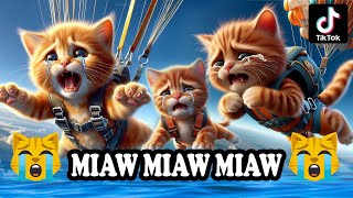 Miaw miaw miaw miaw Song sad cat story tiktok FULL😭 cat aicat catlover cats catsong aiimages [upl. by Saiff]