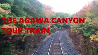 Agawa Canyon Train 2023 [upl. by Drexler288]