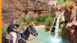 Havasupai tribe Native American Indian guardians of the Grand Canyon [upl. by Ahsimin]