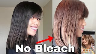 How I lightened my hair using Loreal B61 Highlights  Without Bleach [upl. by Anchie208]