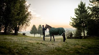 Steve Guerdat a True Horseman Through It All [upl. by Narej128]