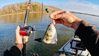 4 Hours of RAW and UNCUT Kayak Catfishing  Dragging Cut Bait on the Tennessee River [upl. by Sheffield]