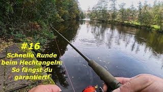 16 Schnelle Runde beim Hechtangeln So fängst du garantiert 🎣 [upl. by Essex]