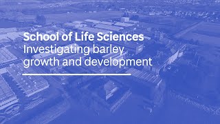 Investigating barley growth and development [upl. by Imogen]