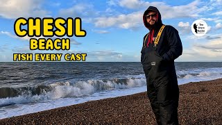 Chesil Beach UK Beach Fishing Wayne Hand 4K [upl. by Yssis294]