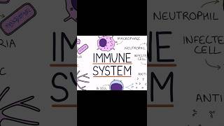 Immune System Kaise Strong Kare [upl. by Ayotel]