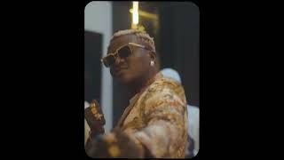 Portable ft Small Doctor  Neighbour Video [upl. by Viviyan]