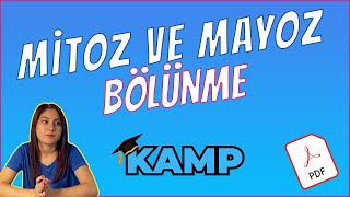 MİTOZ BÖLÜNME VE MAYOZ BÖLÜNME FULL TEKRAR TYT 2025 [upl. by Adnofal]