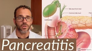 Pancreatitis  a patient education video [upl. by Wilber]