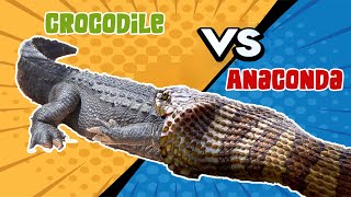 Anaconda VS Crocodile  Bloody Fight [upl. by Nallaf]