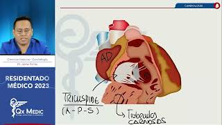 Cardiología  RM 2023  Ciencias Básicas [upl. by Lrigybab]