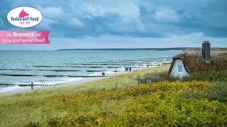 MecklenburgVorpommern  Urlaub und Ferien mit Hund [upl. by Edivad496]