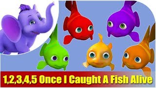 12345 Once I Caught A Fish Alive  CoComelon Animal Time  Animal Nursery Rhymes [upl. by Craw]