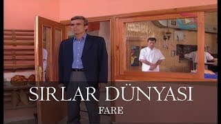 Sırlar Dünyası  FARE [upl. by Thorny]