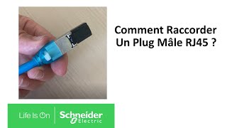 Comment raccorder un plug mâle RJ45   Schneider Electric [upl. by Eseerehc]