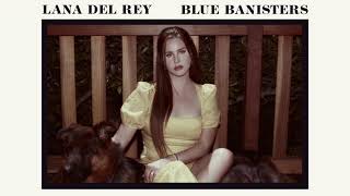 Lana Del Rey  Dealer Official Audio [upl. by Coumas]