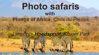 Claudia Schnell Africa  Safaris amp Tours South Africa Travel Channel 24 [upl. by Eenert]