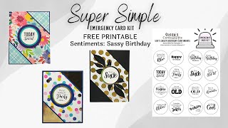 FREE PRINTABLE Sassy Birthday Sentiments and Card Sketch Emergency Card Kit V9 [upl. by Zap767]