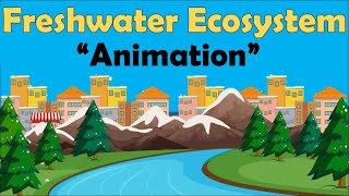 FRESHWATER ECOSYSTEM  Biology Animation [upl. by Nonnahc965]