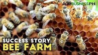 Bee Farming Success Story  Milea Bee Farming  Agribusiness Philippines [upl. by Ennagrom]