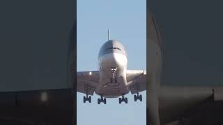 Boeing vs Airbus ✈️✈️ subscribe landingview a380 b777 qatarairways trollface pilotview [upl. by Aicileb141]