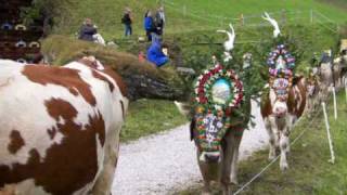 Almabtrieb von der Bichlalm Hintertux Zillertal [upl. by Euton]