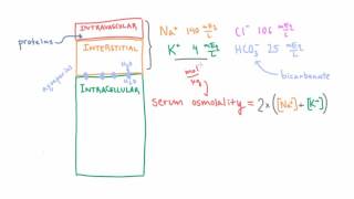 Estimating Serum Osmolality using a Simple Formula [upl. by Nowad456]