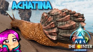 WHERE TO FIND ACHATINA THE CENTER Ark Survival Ascended [upl. by Brita]