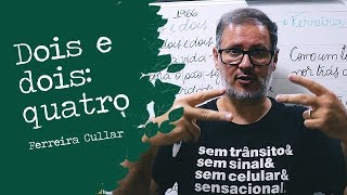 COMO ANALISAR UM POEMA  FERREIRA GULLAR [upl. by Ahseekat]