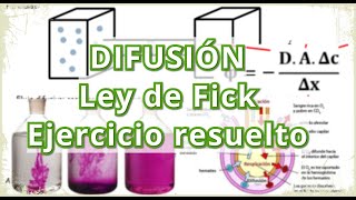 Ley de Fick difusión teoría y problema 1 resuelto [upl. by Ecinnej]