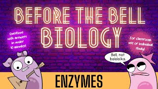 Enzymes Before the Bell Biology [upl. by Michale]