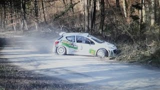 Rallye de Franche Comté 2016 [upl. by Irovi]