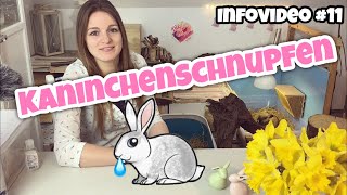 Kaninchenschnupfen  Infovideo [upl. by Eedissac]