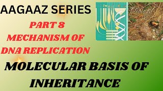 MECHANISM OF DNA REPLICATION 🔥 🔥 🔥 CHAPTER MOLECULAR BASIS OF INHERITANCE BY RINKI FUTUREDOCTOR2025 [upl. by Lednahs844]