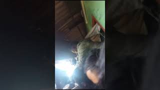 I Video heipor wa wan kawang bomb u pulit ha iwi i dukan wa em ha i thaw wa pynyieñ kari ka MUDA [upl. by Zobe]