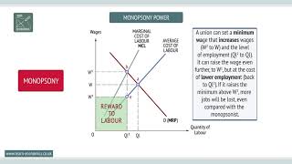 Monopsony [upl. by Frederik]