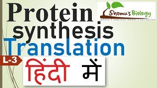 Translation in Hindi Protein synthesis in Hindi [upl. by Rice]