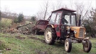 Dzień z życia na wsi  ścinanie drzewa trzydziestka w opałach i inne [upl. by Hernandez]