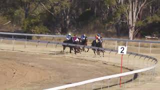 Nanango 20240803 Race 6 [upl. by Nolrah]